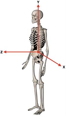 Reduction of Adolescent Idiopathic Scoliosis and Improved Z-Axis Alignment of the Entire Spine When Treating a Symptomatic Patient Using a Multidisciplinary Approach: A Case Report
